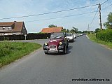 Zandlemig Vlaanderen